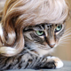 Illustration for article titled Glamorous Cat Wigs
